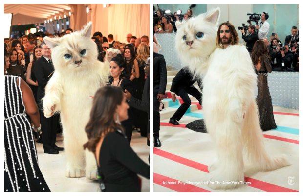 Jared Leto steals the Met Gala dressed as Karl Lagerfeld’s Cat - Oyeyeah